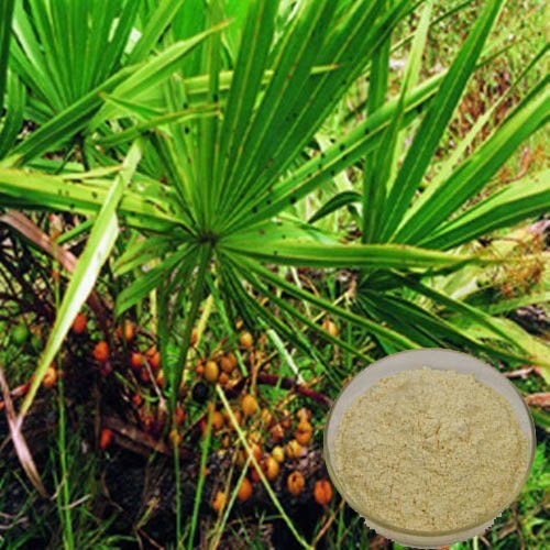 Powder Saw Palmetto Extract, Packaging Type: 25 Kg Hdpe Drum