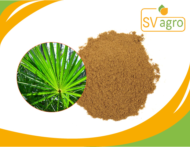 SV AGRO Saw Palmetto Fruit Extract, Packaging Type: PP Polybags, Hdpe Drums, Pack Size: 25kg