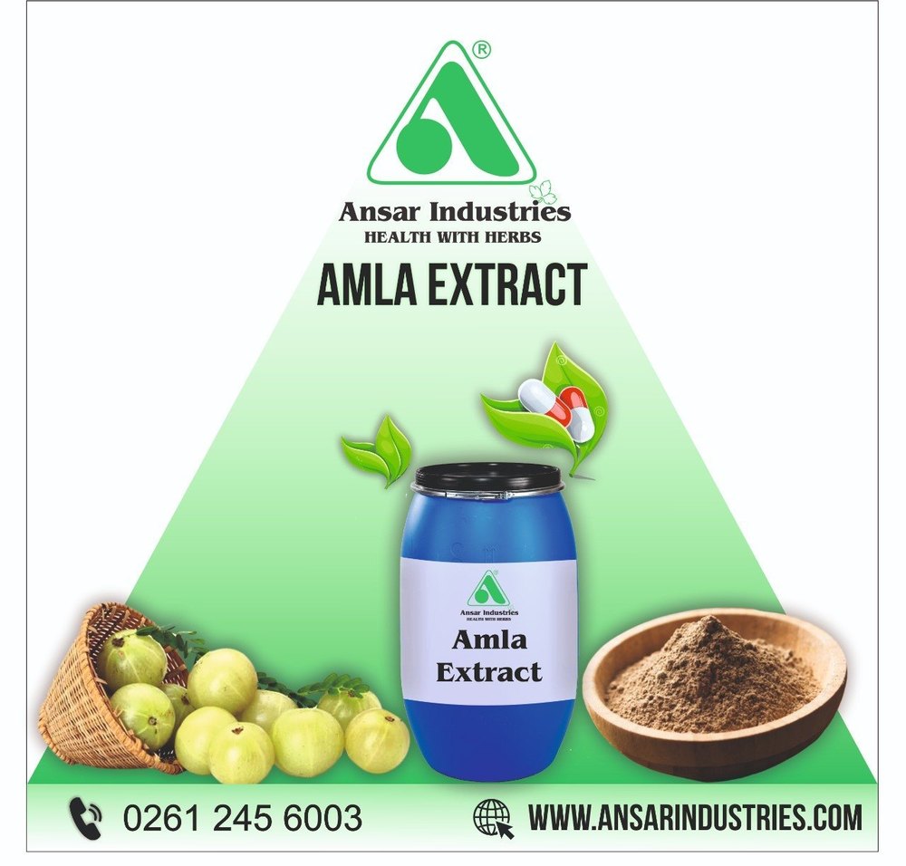 Emblica Officinalis Amla Extract, Form: Y, Packaging Size: 25 Kgs