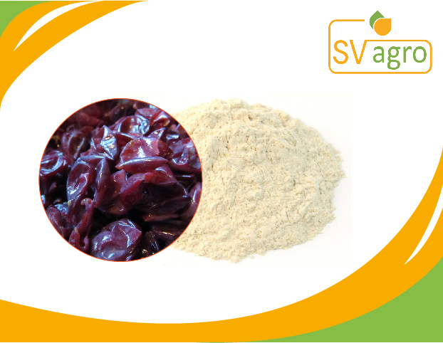 SV Agro Resveratrol Ingredients