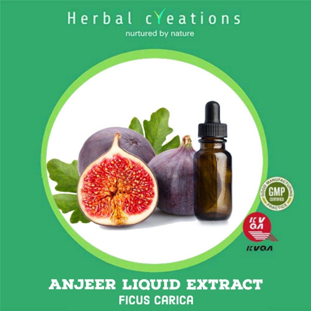 Anjeer Liquid Extract Ficus Carica