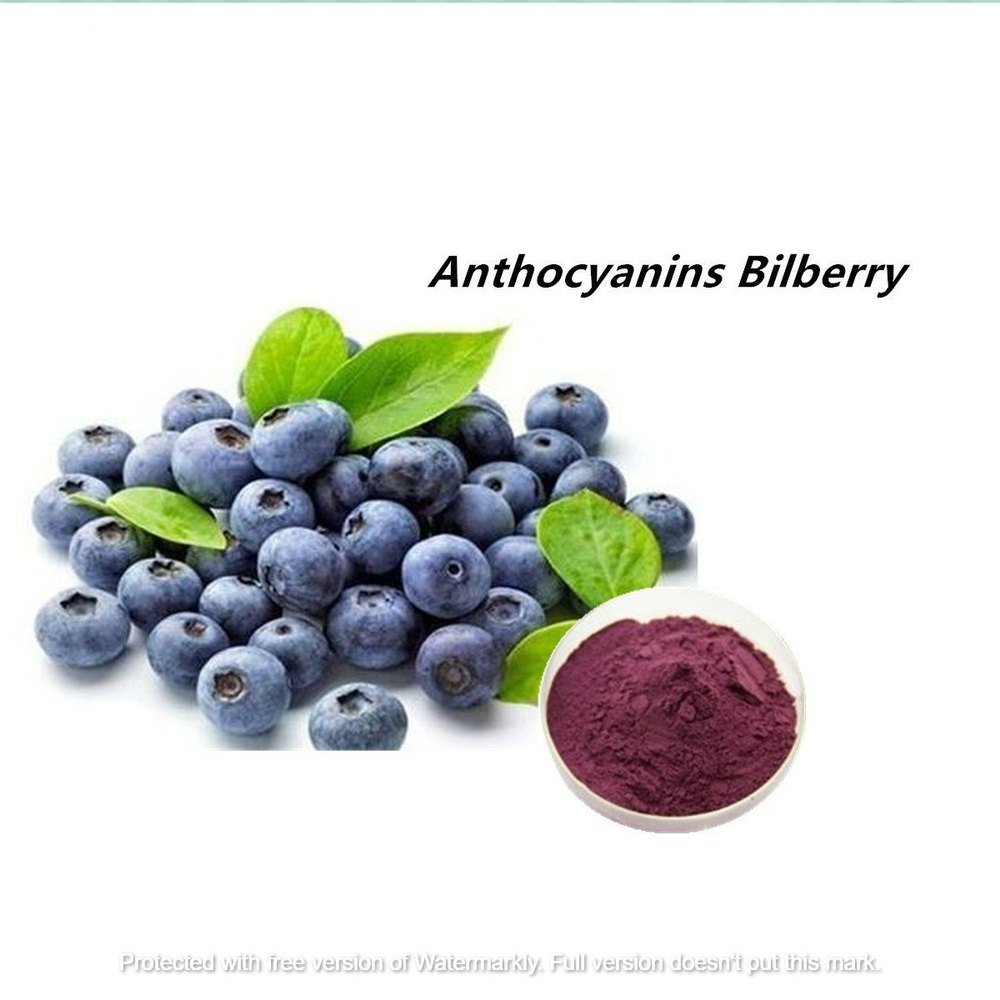 Bilberry Extract, Form: Powder