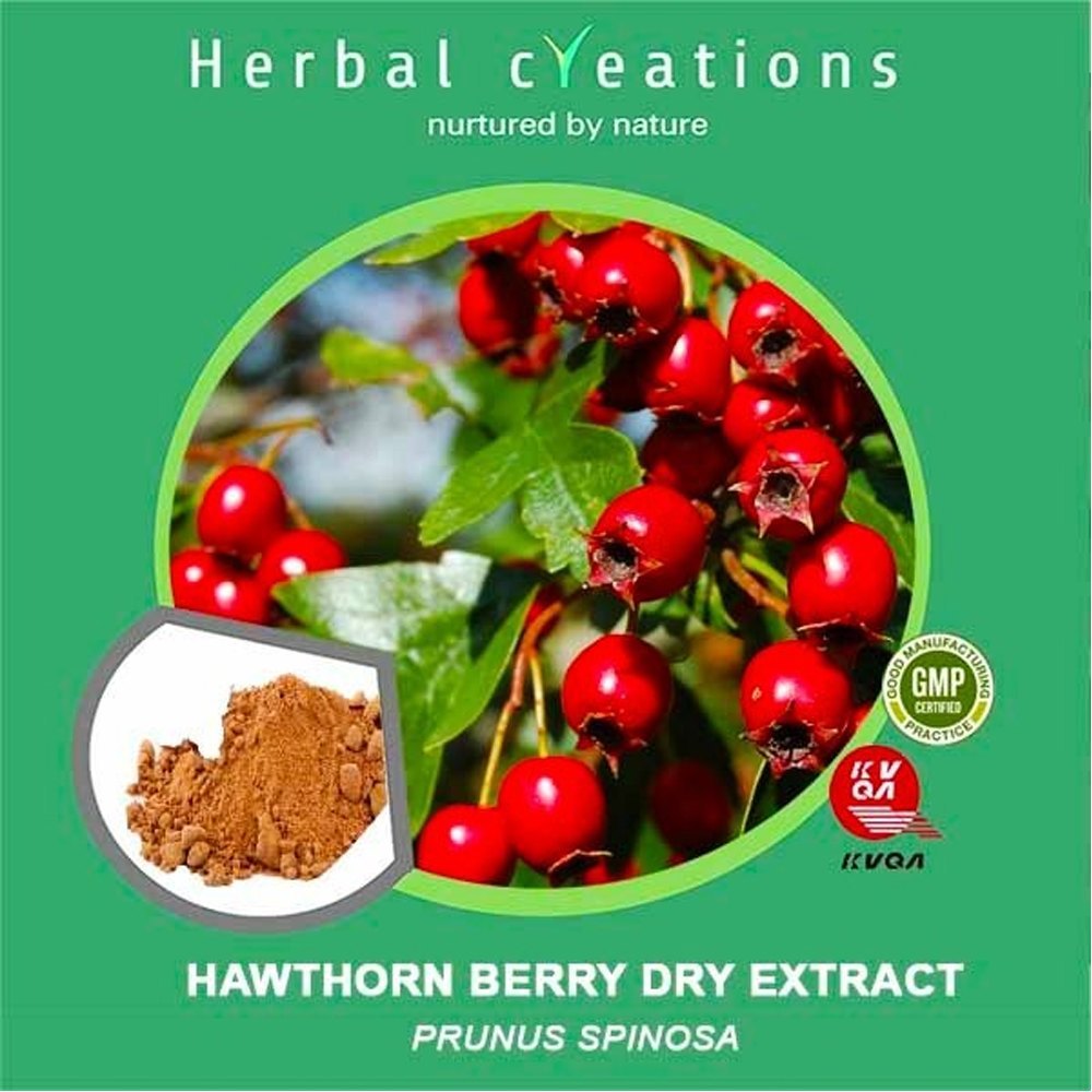 Hawthorn Berry Dry Extract Prunus Spinosa