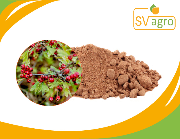 Brown Hawthorn Extract