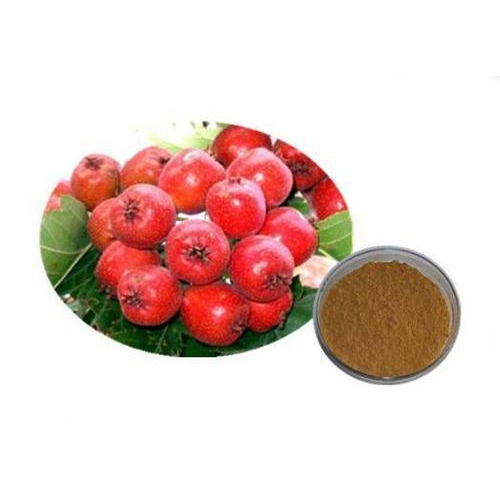 Phyto Herbal Hawthorn Extract, Packaging Type: HDPE Drums LDPE Bags