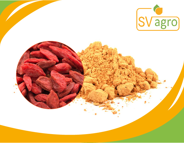 Sv Agro Organic Goji Berry Extract, Packaging Type: 25 Kg