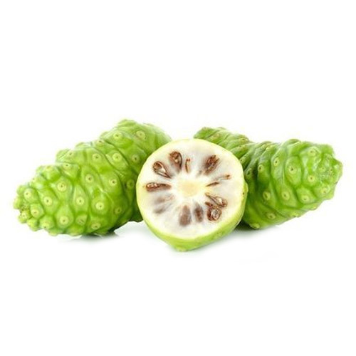 Morinda Citrifolia Extract, Packaging Size: 25 Kgs, Packaging Type: Hdpe Drum