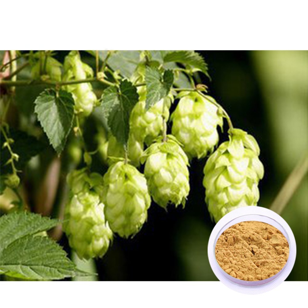 Hops Extract