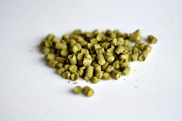 Styrian Golding Beer Hops