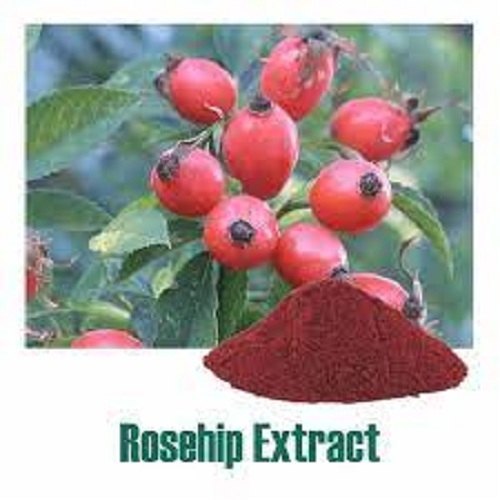 Rosehip Extract