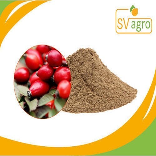 Brown yellow fine powder Rosa canina L. Rose Hip Extract, Packaging Type: Hdpe Drums, pp Polybags, Packaging Size: 25kg