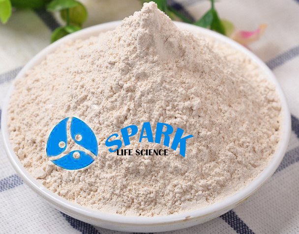 SPARK Avena sativa Extracts, Packaging Type: Bags, Drums, Packaging Size: 10-25 Kg