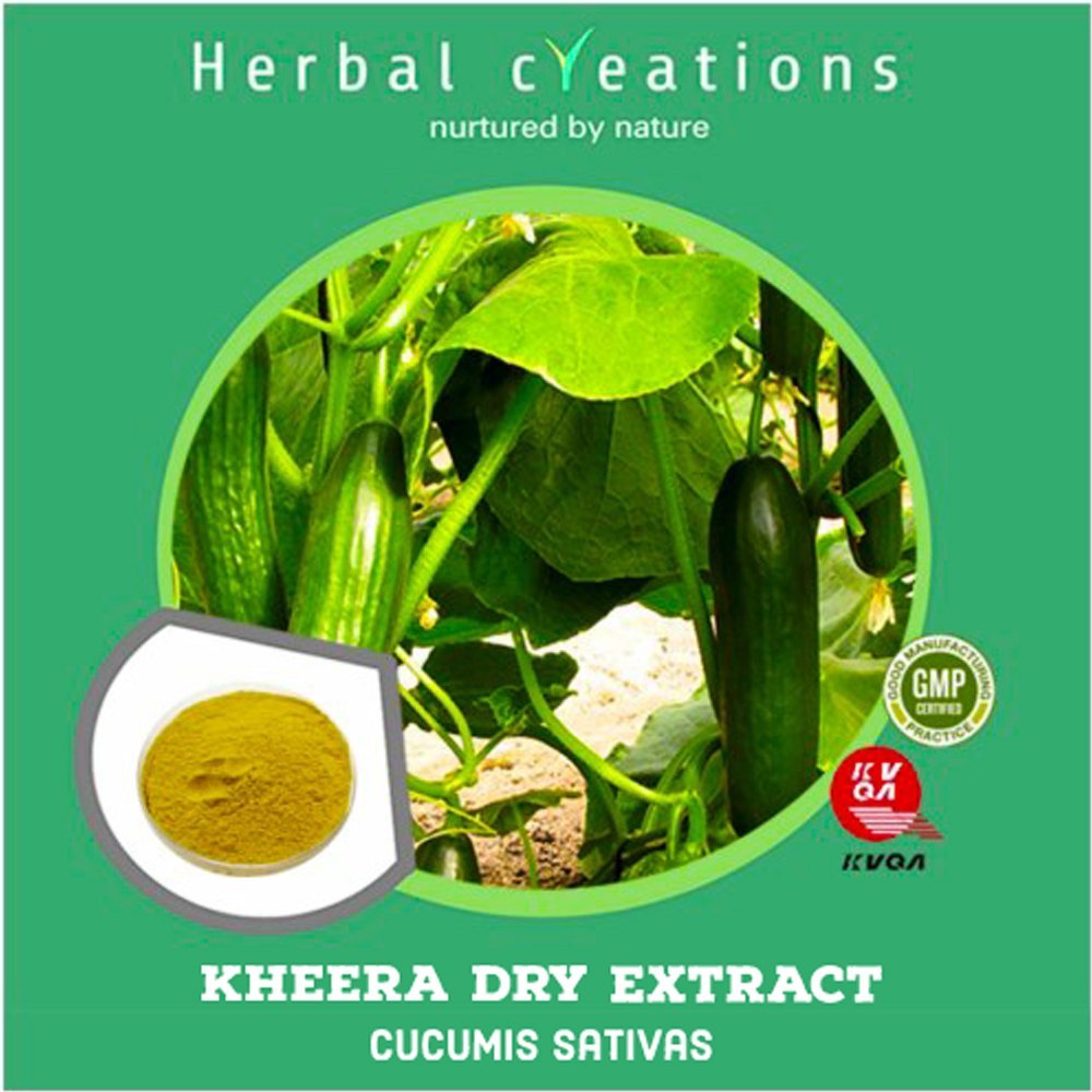 Powder Kheera Dry Extract Cucumis Sativas, Packaging Type: Hdpe Drum