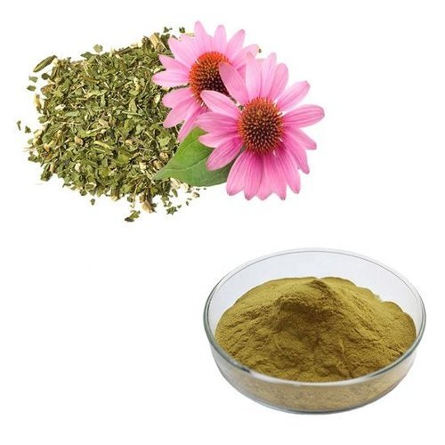 Echinacea Extract Powder, Packaging Type: Drum, Packaging Size: 25 Kgs