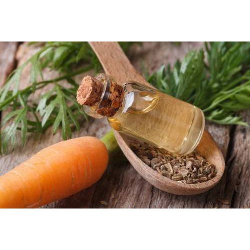 Carrot Liquid Extracts