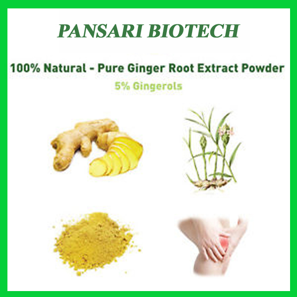 Ginger Extract, Packaging Type: BAG