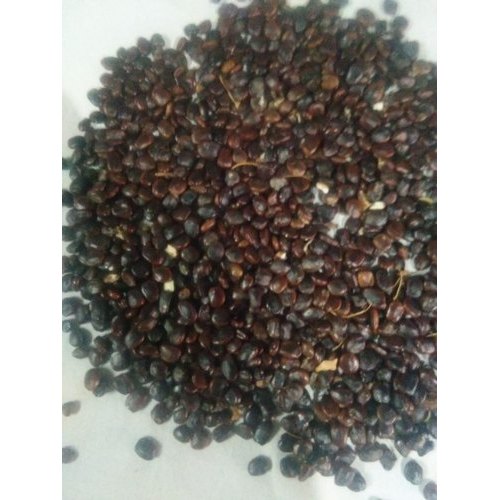 Tamarind Seeds, 50 Kg