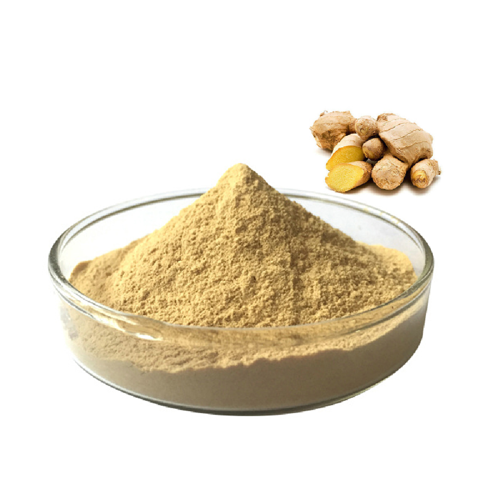 Ginger Extract Powder