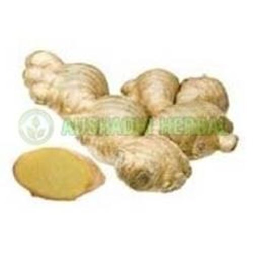 Aushadhi Herbal Ginger Extract, Packaging Size: 5