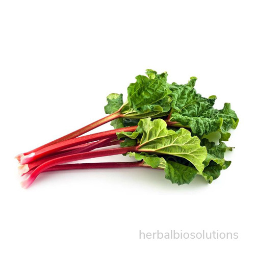 HBS Rhubarb Extract, Pack Size: 25 Kg, Packaging Type: Paper Drum