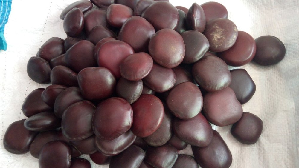 Jungli Gaja Seeds, Packaging Size: 20 kg