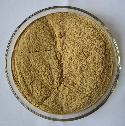 Fenugreek Extract, Packaging Type: HDPE Drums