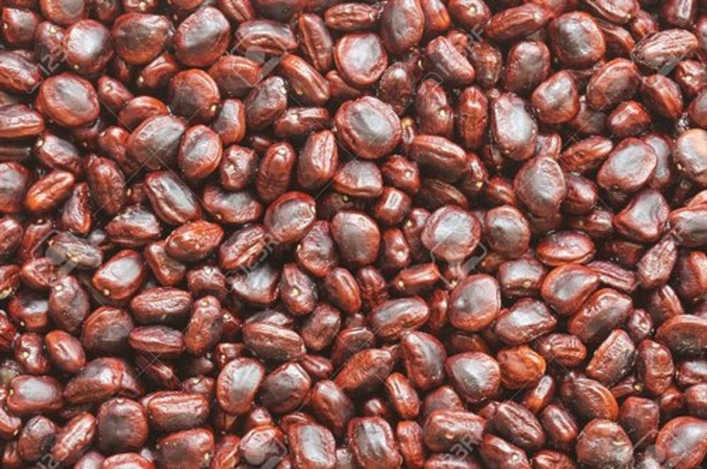 Brown Organic Tamarind Seed, Packaging Type: Loose img