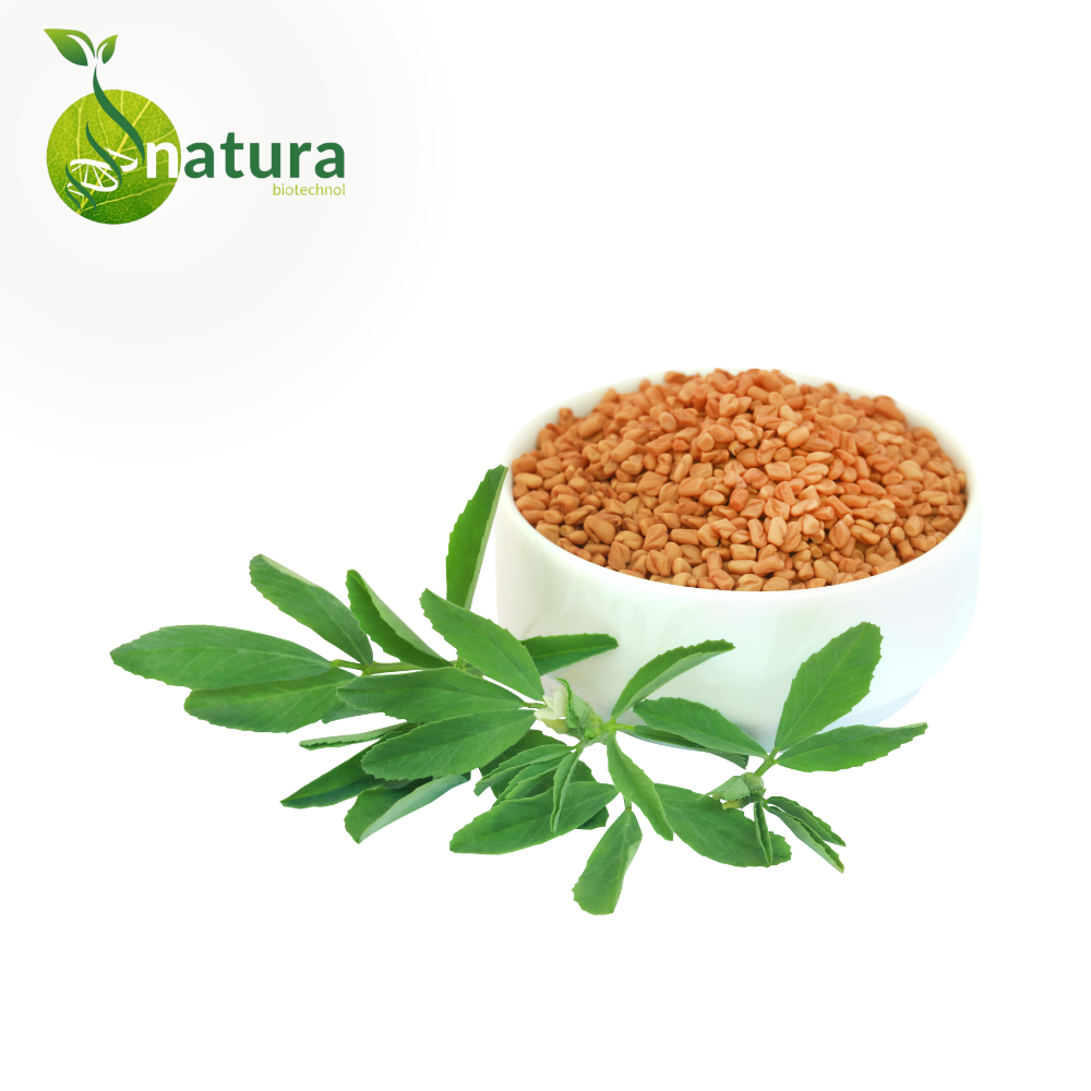 Natura Fenugreek Extract, Packaging Size: 1 Kg, Packaging Type: Packet