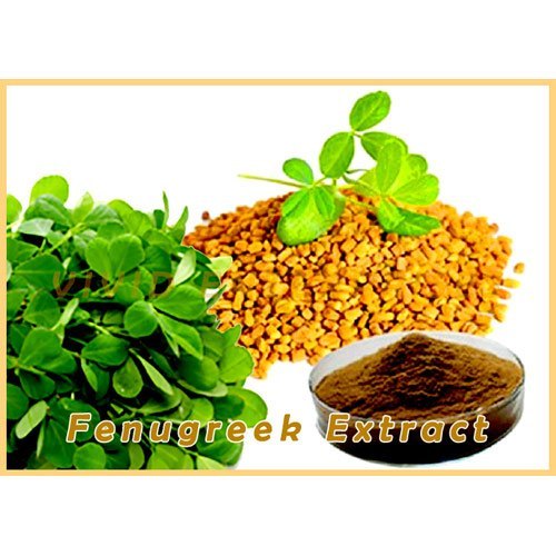 Fenugreek Extract