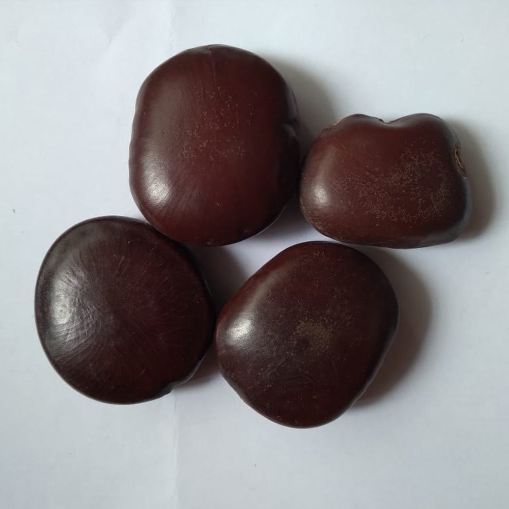Brown Mountain Tamarind Seeds, Packaging Type: Loose