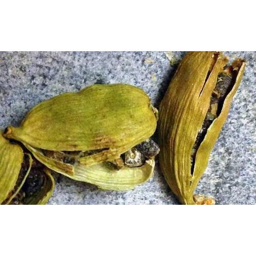 Cardamom Extract, Packaging Type: Drum, Packaging Size: 25KG