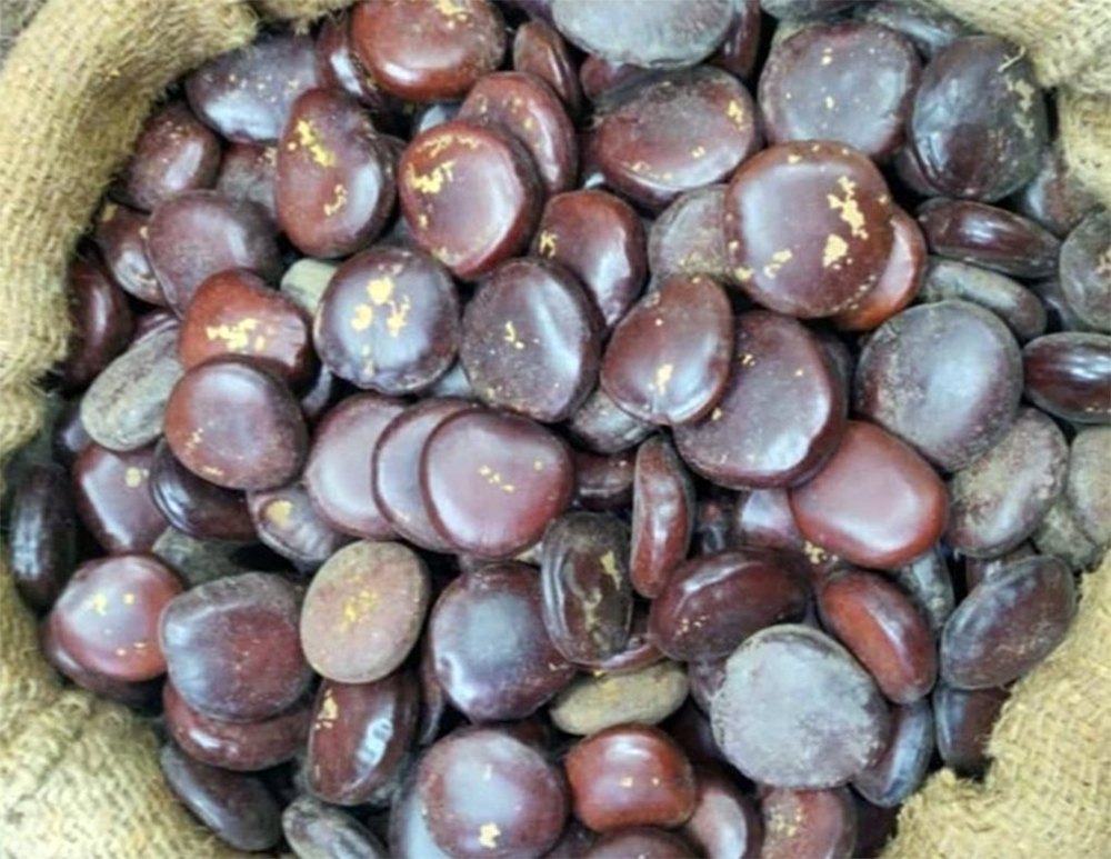 Brown Loose Tamarind Seeds