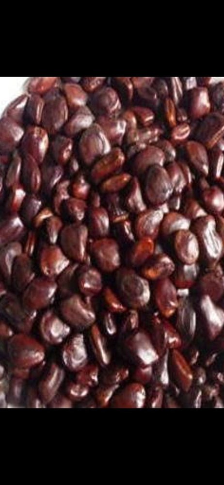 SS Brown Raw Tamarind Seed, Packaging Type: Gunny Bag, Packaging Size: 50g