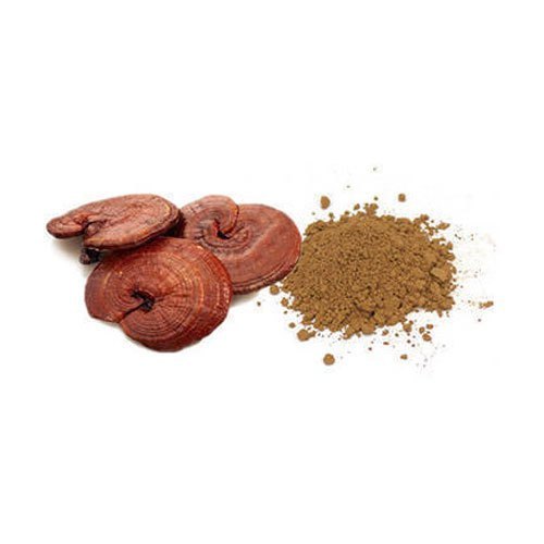 Ganoderma Extract