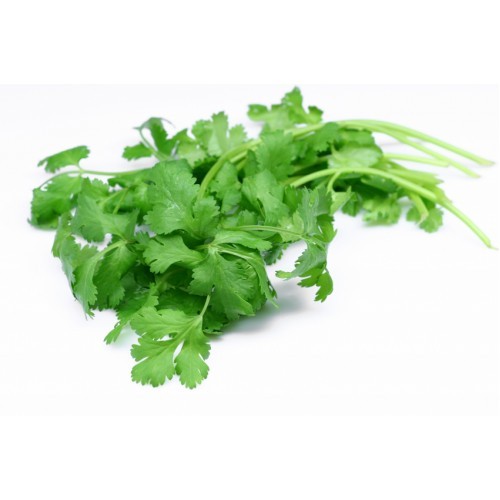 Organic Coriander Leaves, Packaging: Plastic Bag Or Polythen , Pesticide Free (for Raw Products)