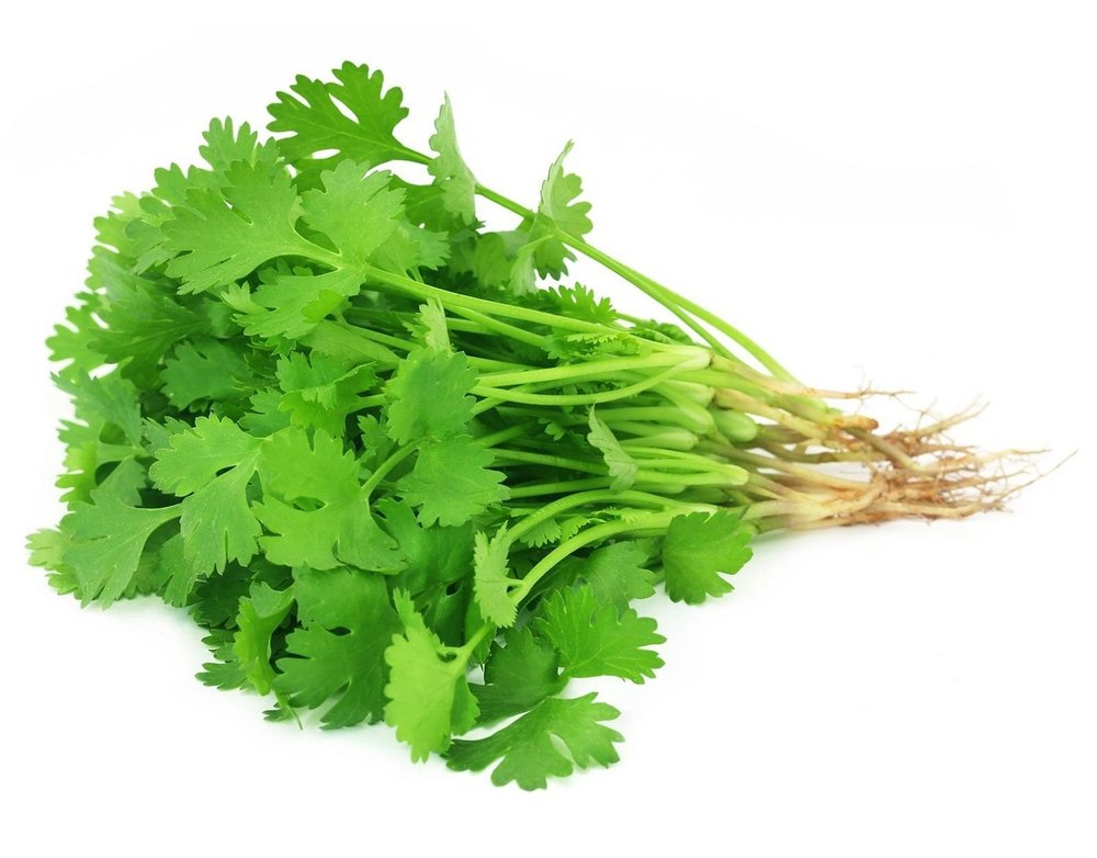 Natural Fresh Green Coriander Leaf, Pesticide Free (for Raw Products)