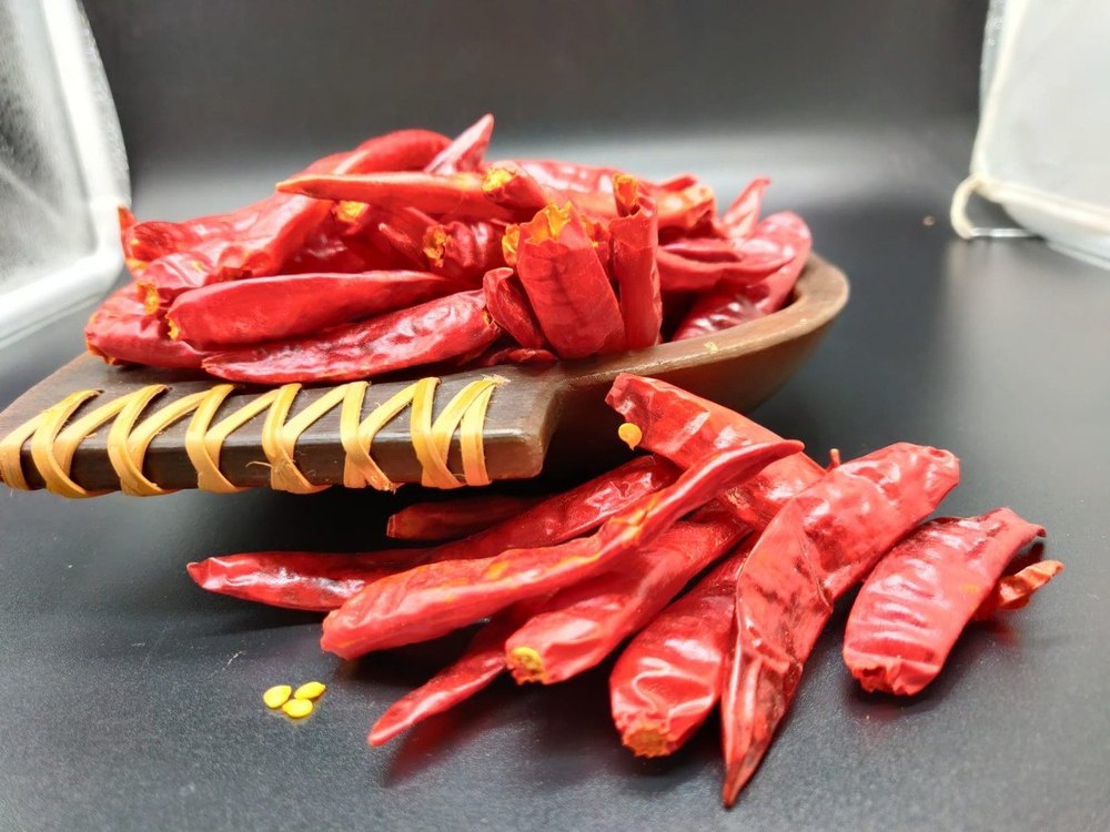 Stemless Guntur Teja Red Chilli, Packaging: Loose