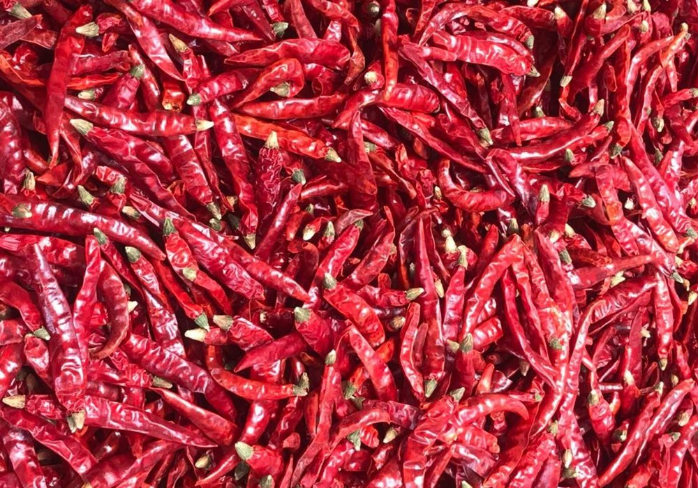 Steamless Dry Red Chilli, Drying Process: Dehydrated, India