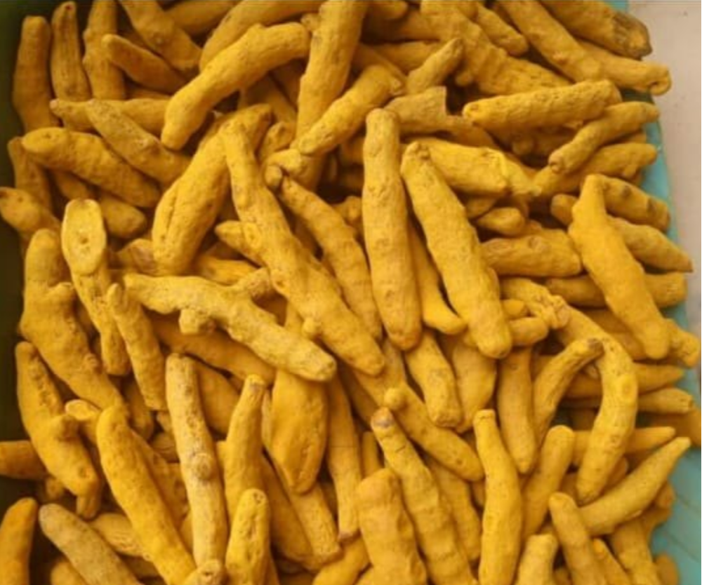 Turmeric Roots img