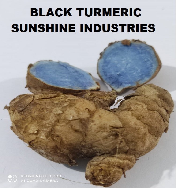 Fresh Black Turmeric Finger, 1 Kg