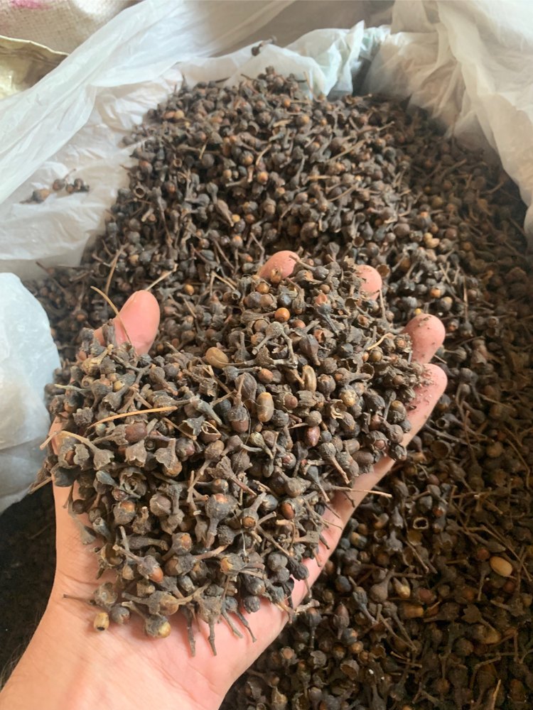 Black Nagkesar Seed, Packaging Size: Loose