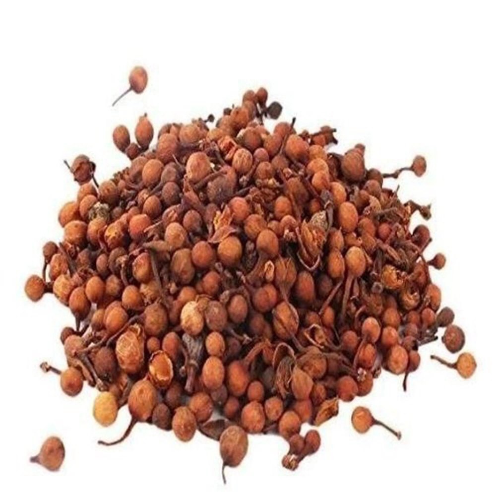 Brown Dried Nag Kesar Seeds, Packaging Type: Loose, Is It Organic: Organic img