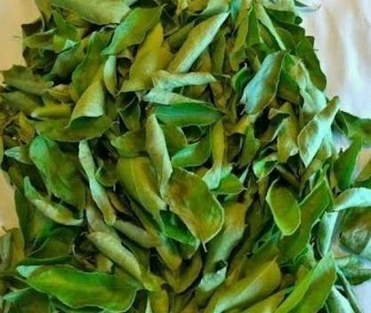 Dry Curry Leaves, PP Bag, Packaging Size: 10 Kg