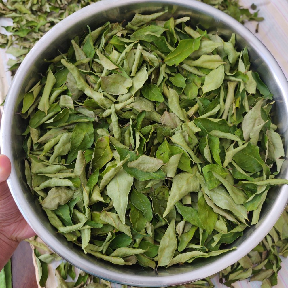 Dry Curry Leaves, Plastic Bag, Packaging Size: 10 Kg