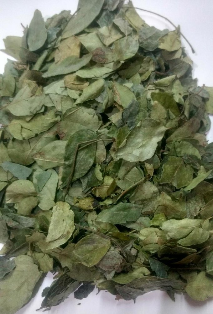 Dried Curry Leaves, PP Bag, Packaging Size: 5-20 kg