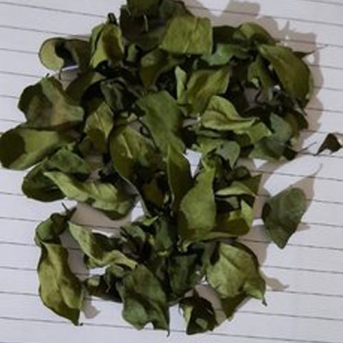 Dried Curry Leaves, Packet, Packaging Size: 1 Kg