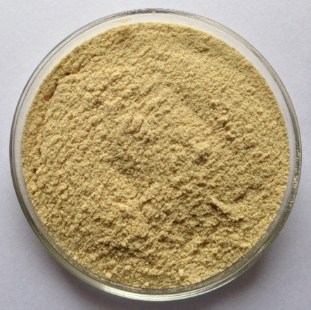 Powder Cassia Tora Meal, For Cattle Feed, Packaging Type: Pp Bag