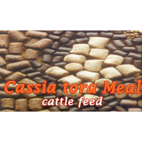 Powder Cassia Tora Meal, For Cattle Feed, Packaging Type: 50