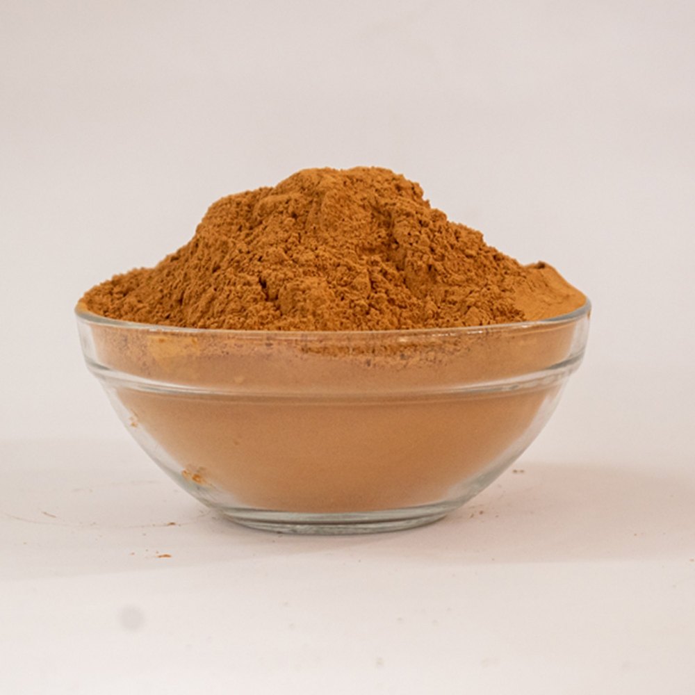 Cinnamomum Cassia Powder, Packaging Size: 100g