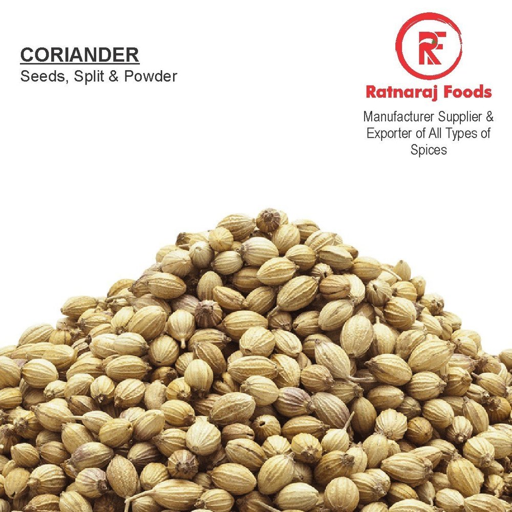Natural Green Whole Coriander Seed, For Blending, Packaging Size: 25-50KG